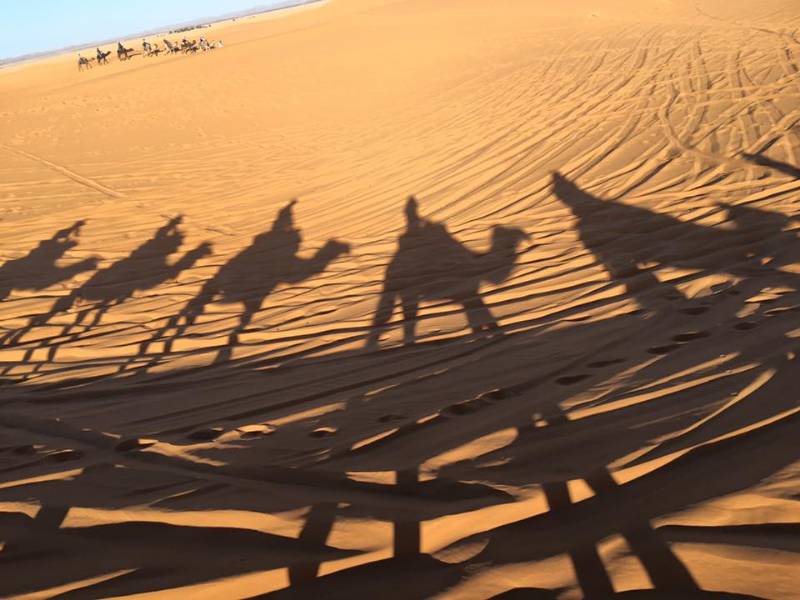 Foto: Excursiones al desierto