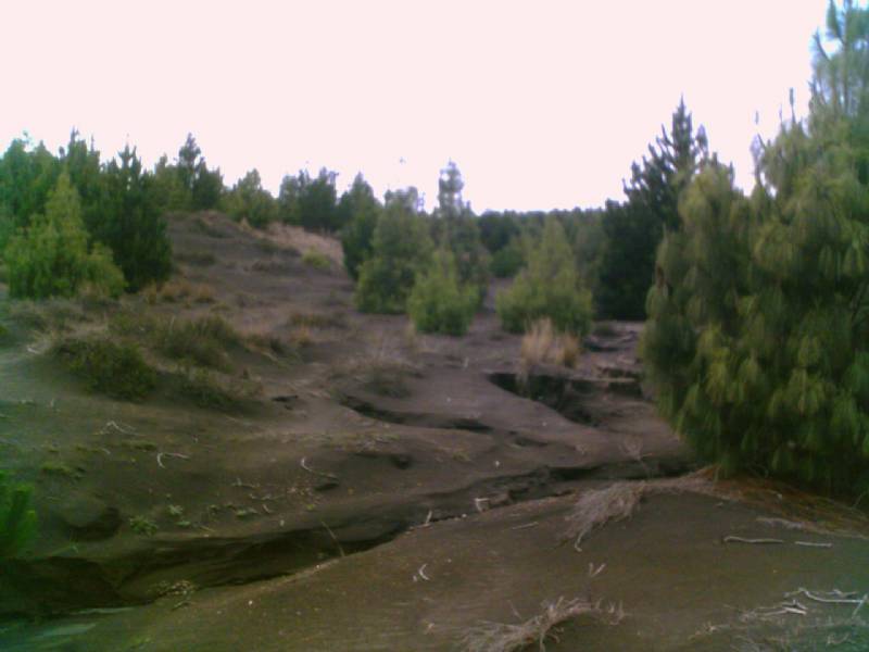 Foto: Desierto de Palmira