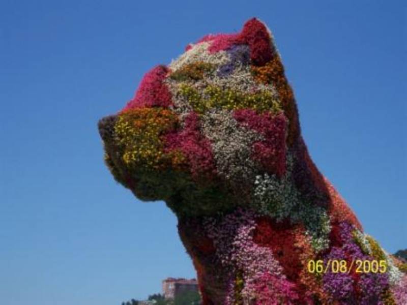Foto: Escultura floral, Puppy