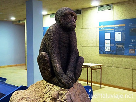 Museo Paleontológico, Abanilla