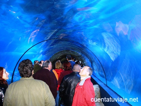 Parque acuático, Almuñécar