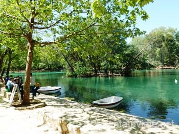 Albufera de Anna (Valencia)