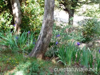 Sierra de Mariola