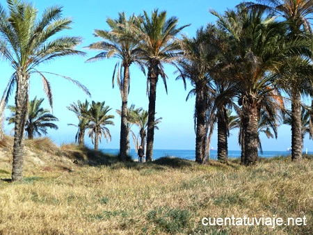 Parque Litoral, Castelló.