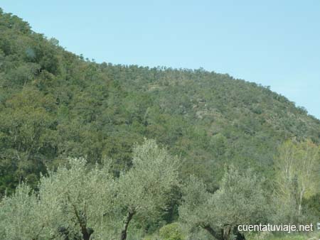 Serra d´Espadà, Eslida (Castelló)