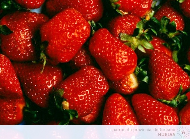 Fresas de Huelva.