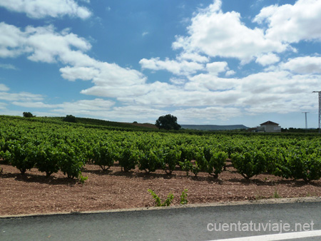 Viñedos de La Rioja