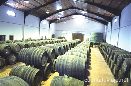 Bodega, Málaga