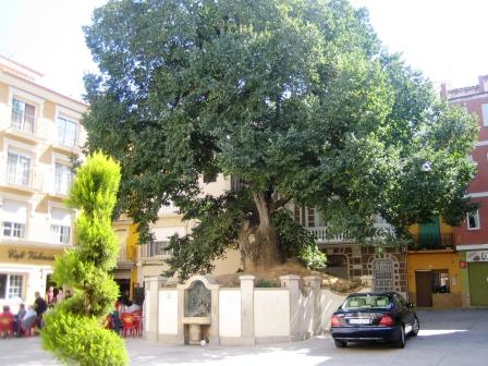 Plaza del Olmo, Navajas (Castellón)