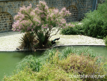 Parque de La Taconera, Pamplona.