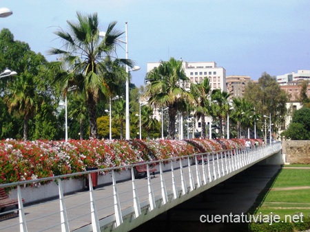 Puente de las Flores, Valencia.