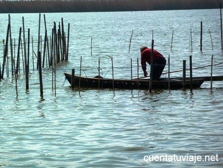 La Albufera, Valencia.