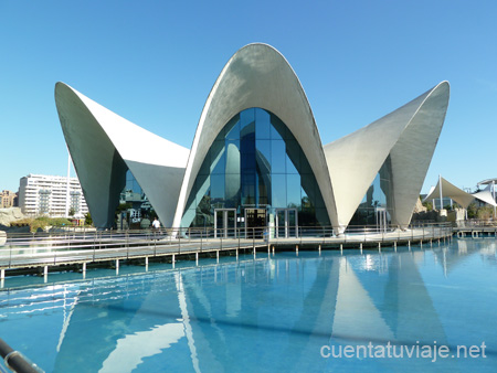 L´Oceanogràfic, Valencia.