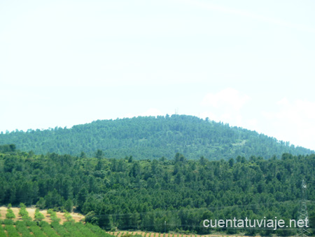 Requena, entorno natural.