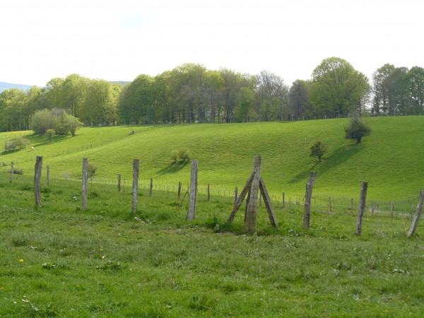 Paisaje de la zona. Roncesvalles.