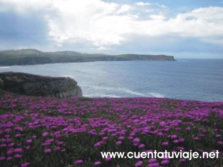 Acantilado de Los Locos. Suances.