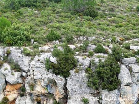 Paisaje del Pantano de Torás