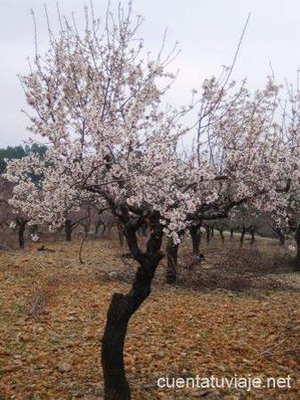 Paisaje de Torás