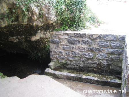 Fuente de Camarillas, Torás.